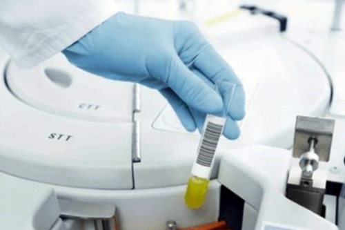 2026个人代孕_代孕中心供卵费用,夫妻的染色体是正常的。为什么试管胚胎的染色