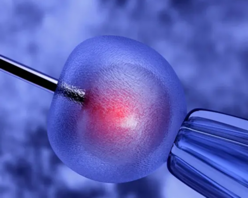 宝贝计划正规代孕,试管移植以后，你需要警惕什么？