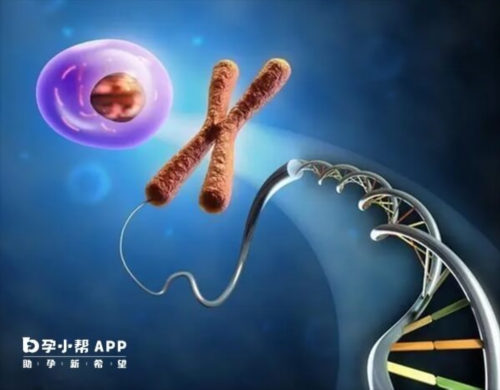 皇家试管(好孕来代妈qq群),试管费用什么时候可以报销，试管什么时候能报销呀