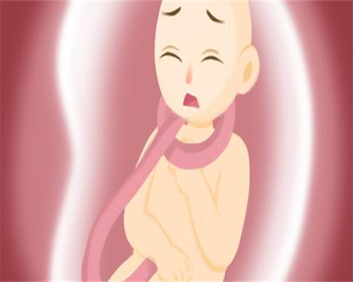 试管供卵代怀代生移植冻囊胚前要抽血测胰岛素1小时2小时的吗？