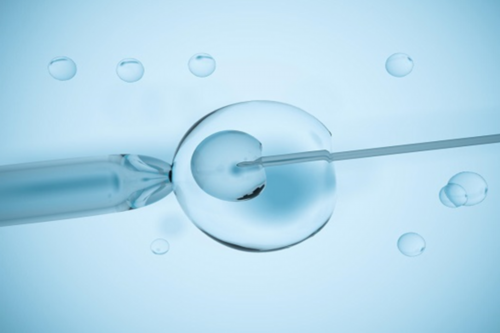 无锡妇幼保健院借精试管代生报价公布，借精试管代生流程与注意事项需要了解