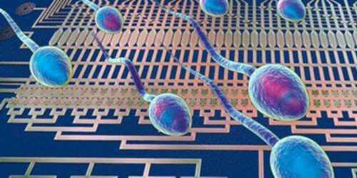 「总榜汇总」泸州代生子机构哪家好成功率高么