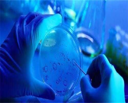 代孕那里做的最好,子宫前位做试管要多少费用？子宫后位和子宫前位哪个试管