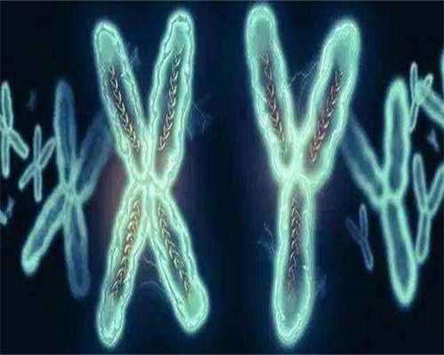 一文解析：子宫肌腺症能否做私立机构供卵试管吗？私立机构供卵试管成功率高