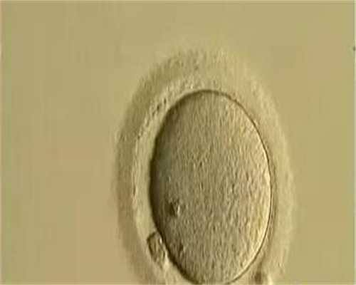 国内人工代生机构,国内借卵生子哪里好,
              宝宝大便费力且不成形是怎