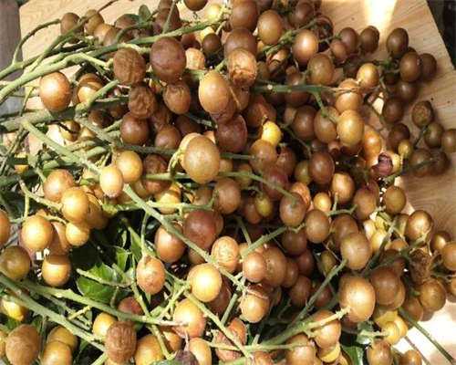 北京正规代怀代生机构医院，2026北京正规十大私立代怀代生机构医院排名参考