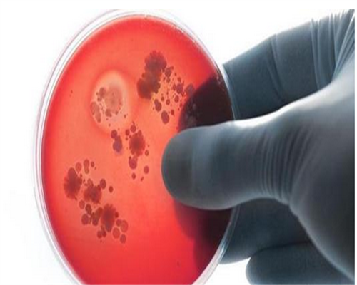 包成功代孕产子,子宫腺肌症可以做试管吗？