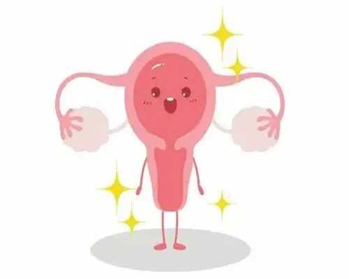 代孕宝宝地址：窦卵泡和取卵数量 窦卵泡19个取卵6个