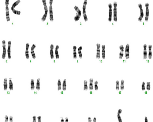 去安徽做试管婴儿多少钱成功率多少