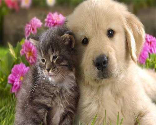 新时代助孕_高鹰代孕去哪家最好,太原试管三代医院哪家比较好？公立好还是私