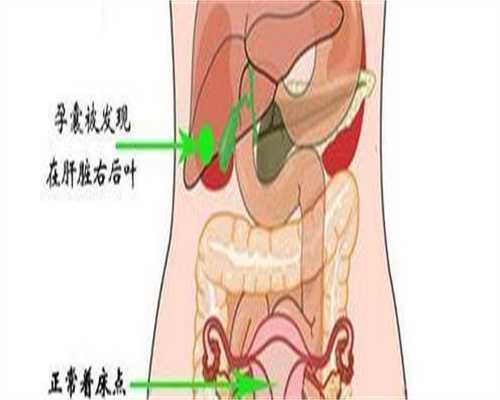 添越助孕在哪_世纪代怀孕好服务,芬吗通口服及阴塞的区别？芬吗通口服及塞阴