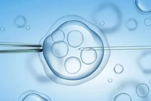 代生公司在哪里移植冻胚后忌吃苹果？详解移植后的5大注意事项