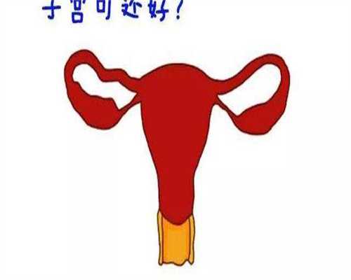 2026湖北第三代试管医院排名一览表，附医院排名介绍