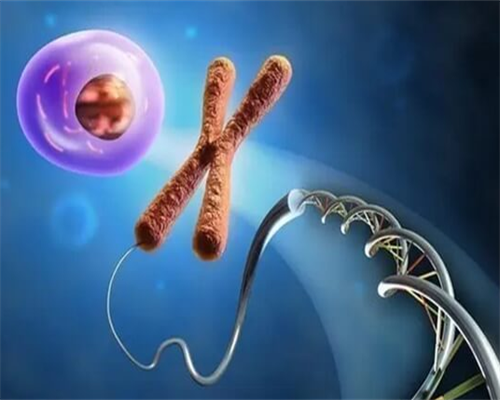 泰州哪里有供卵群，为你带来了新的幸福