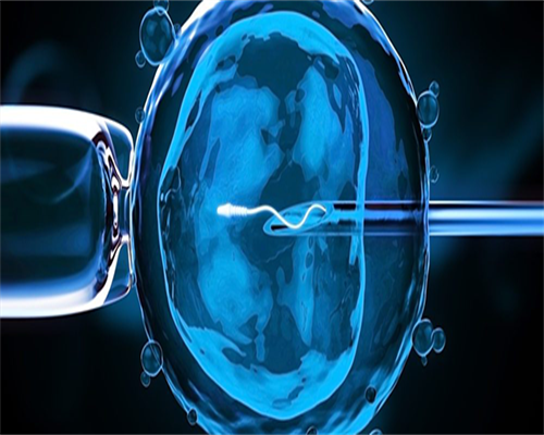 助孕包成功价格_助孕包性别中介,试管婴儿怀孕期间能用化妆品吗，费用是怎样