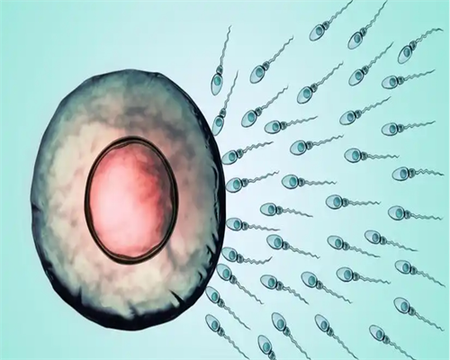 桂林私立医院第三代代生哪里找成功率多高