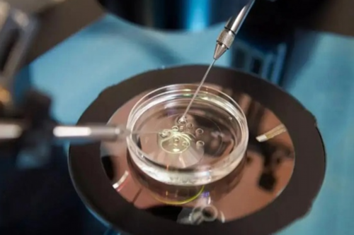 三代试管婴儿一定健康吗