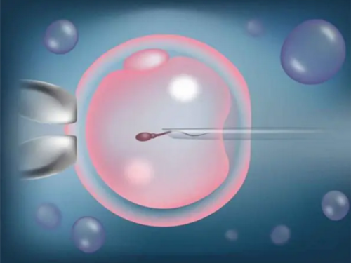 代孕产子流程:胎停后做试管会怎么样