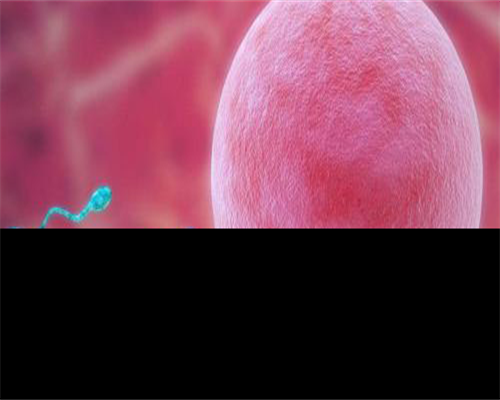 2026天津靠谱代生电话全部费用明细一览，靠谱代生电话流程怎么走一文看懂！