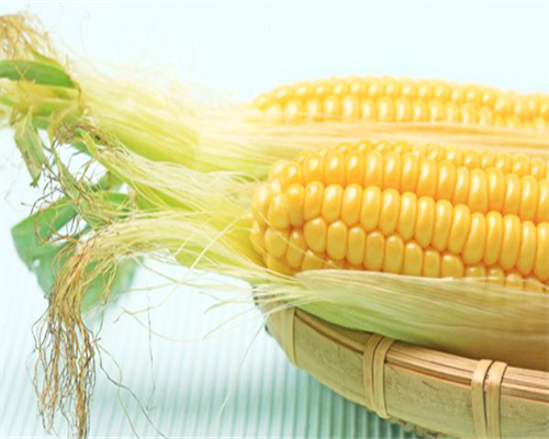 成功率最高的代孕公司,多囊卵巢卵泡长不大能做试管婴儿吗！最新收费标准！