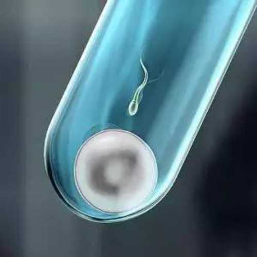 二代福建代怀代生人工周期移植当天内膜8a对胚胎着床好吗？