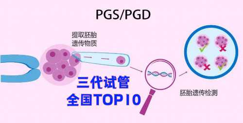 格鲁吉亚冷冻胚胎费用表公布(格鲁吉亚供卵代生选儿子多少钱)