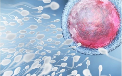 新疆第三代试管婴儿助孕一共需要多少钱？最新助孕详情