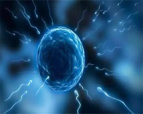 怎样预防输卵管不孕(输卵管不孕主要是哪些原因)