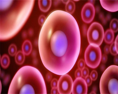 西安试管包生儿子，为那些渴望成为父母的夫妻带来新的生命之路