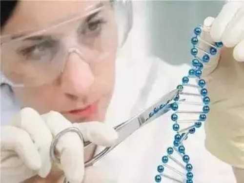 试管婴儿打什么促排卵针