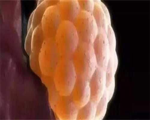 中国代怀代生机构冻胚移植后22天血值1000正常不？