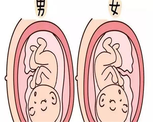 宝安妇幼二代代生儿子地址费用多少？宝安妇幼二代代生儿子地址费用多少一次