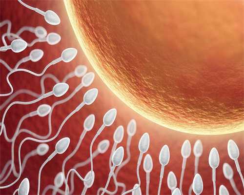 试管供卵包成功多少钱,宫腔镜检查对子宫有伤害吗(试管婴儿宫腔镜痛苦吗)