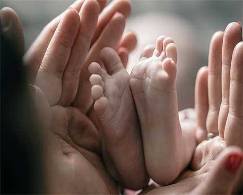 正规助孕包性别_60万包生儿子,孕妇产检都有哪些项目呢(孕期检查都有哪些)