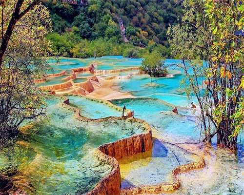 云南三代代生是多少合适三代代生是多少合适价格一览