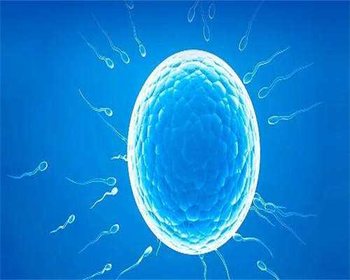 云南接受供精，走过的路