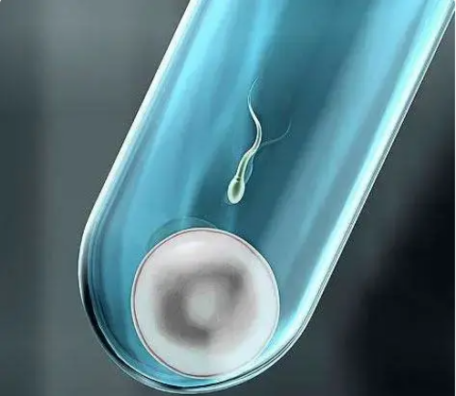 代生孩子哪家专业需要三代吗还是二代_代生孩子哪家专业做三代是什么意思