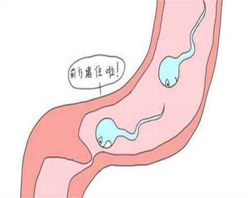 
              卵子质量差怀不上，迁安哪家医院能做供卵代生多少费用多少？
