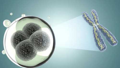 四川试管助孕流程多少钱 四川试管助孕流程多少钱一次