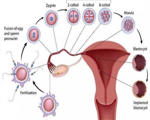 做试管前怎么看不孕