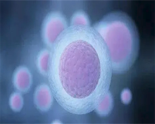 试管婴儿90%不是自己的？是免费的吗？