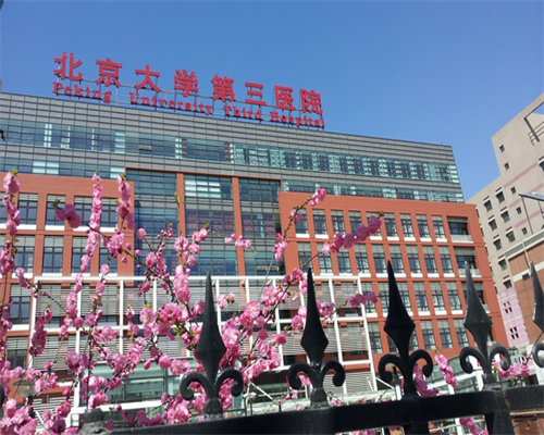 国内三代借助孕私人代生代怀机构三代私人代生代怀机构价格