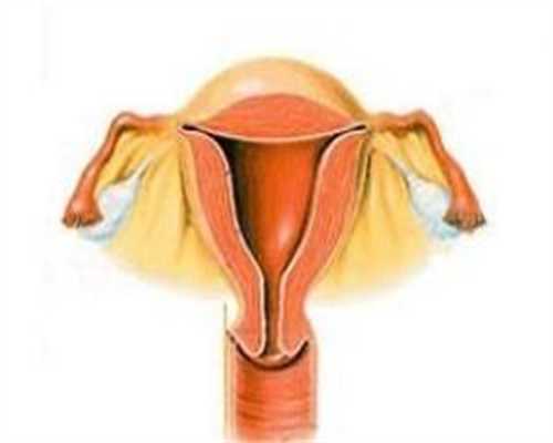 做试管代孕去,鞍形子宫是怎么造成的