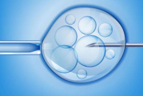 世纪供卵费用+世纪代生孩子招代妈,试管婴儿第一代费用(第一代试管婴儿的费用