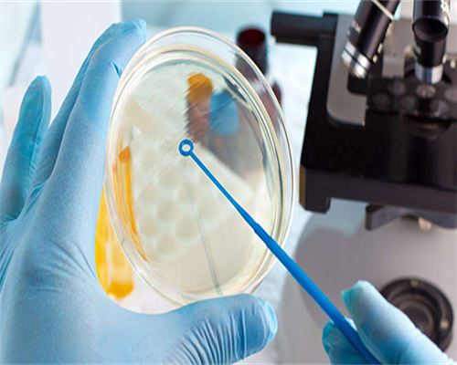 代怀包男孩价格_代怀包成功价格,子宫多囊能正常怀孕吗？八万费用够吗？